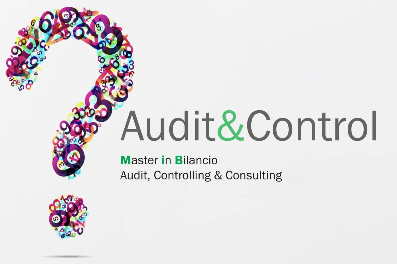 Master in BilancioAudit, Controlling & Consulting
